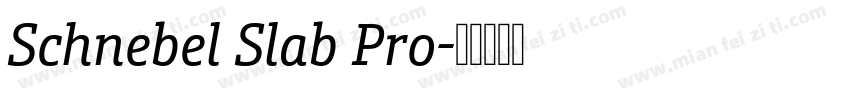Schnebel Slab Pro字体转换